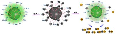 One-Step Synthesis of Green Fluorescent Carbon Dots for Chloride Detecting and for Bioimaging